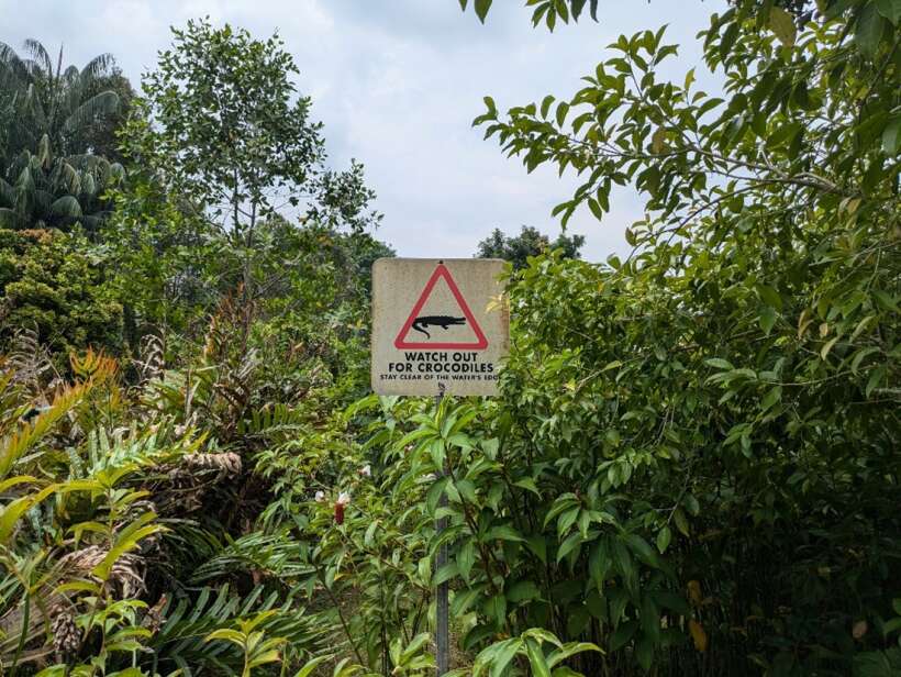 Interesting encounters with nature in Singapore