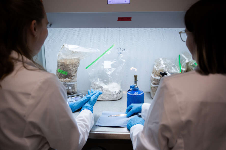 Inside the ETH Biofabrication Lab